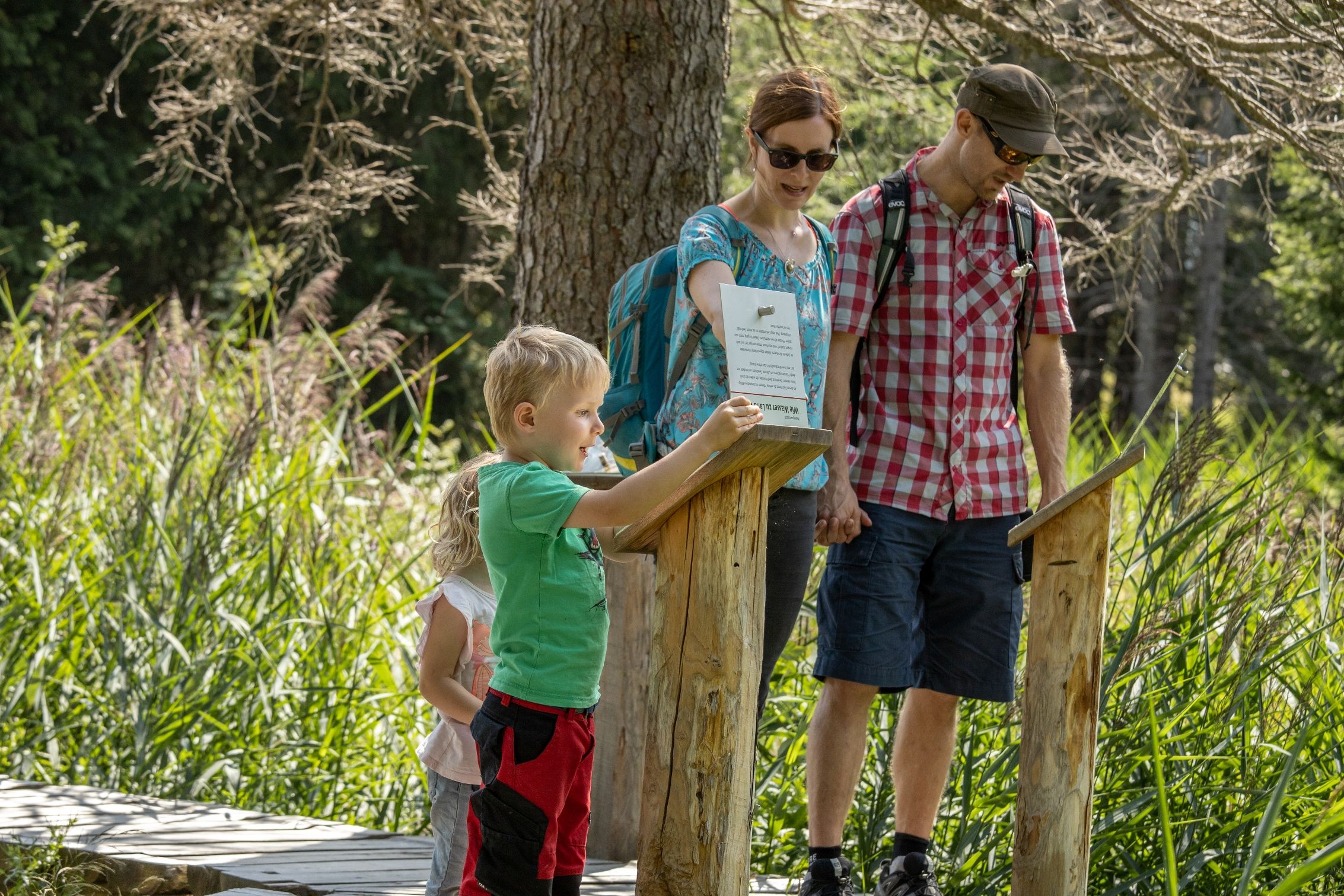 Οικογενειακή εκδρομή στην διαδρομή με βάλτο, πινακίδα ενημέρωσης, γύρω με φυτά