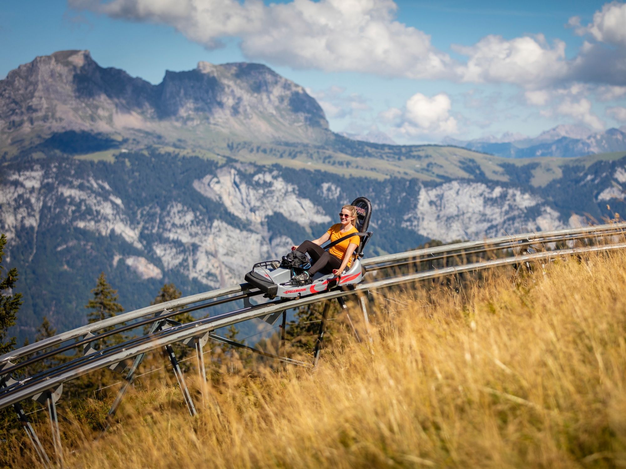 Toboggan Flumserberg : Vis une descente palpitante et le paysage montagneux impressionnant.