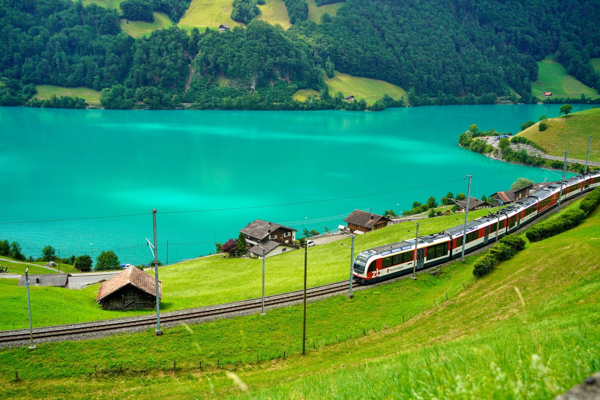 Alam: Danau yang indah dengan bukit hijau dan kereta di Swiss saat musim panas