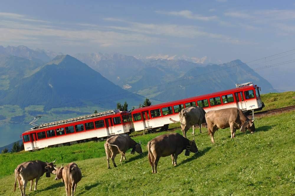 การเดินทางท่องเที่ยวที่ริกิด้วยรถไฟ, วัวบนทุ่ง, ทิวทัศน์ภูเขา