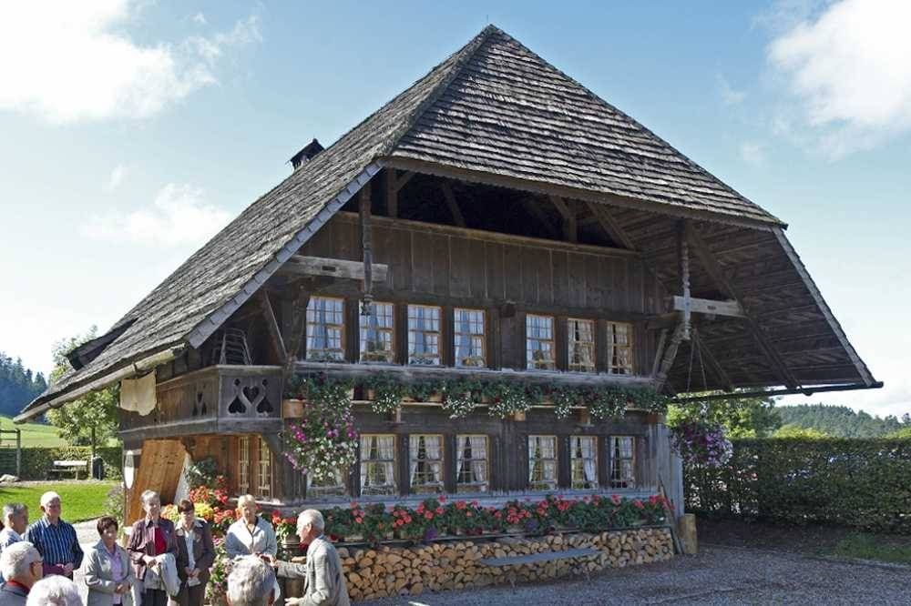 Houten huis in Zwitserland, dagtocht, groepsactiviteit, landschap