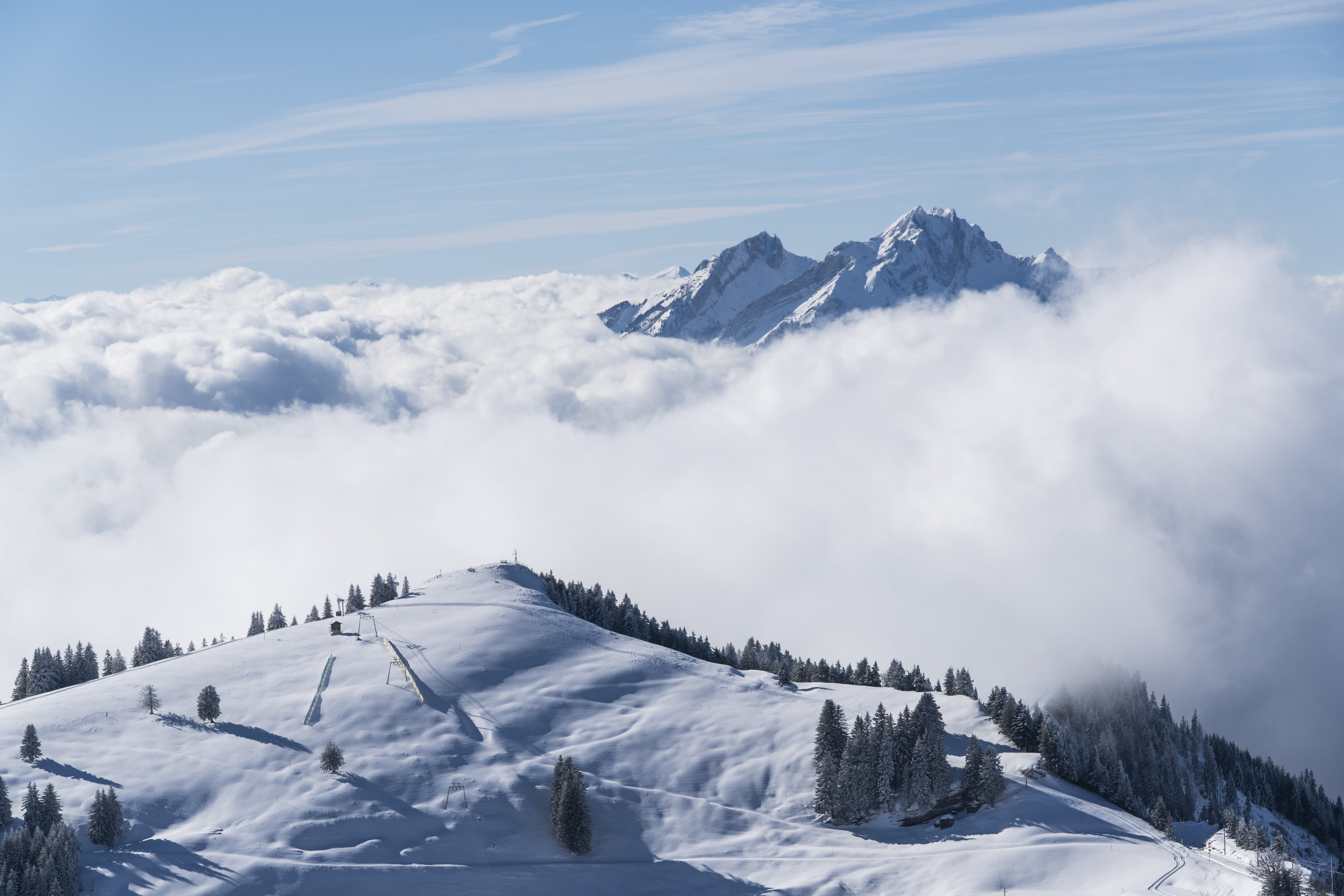 Slittino sulla Rigi in un alpe innevato con vista sulle Alpi.