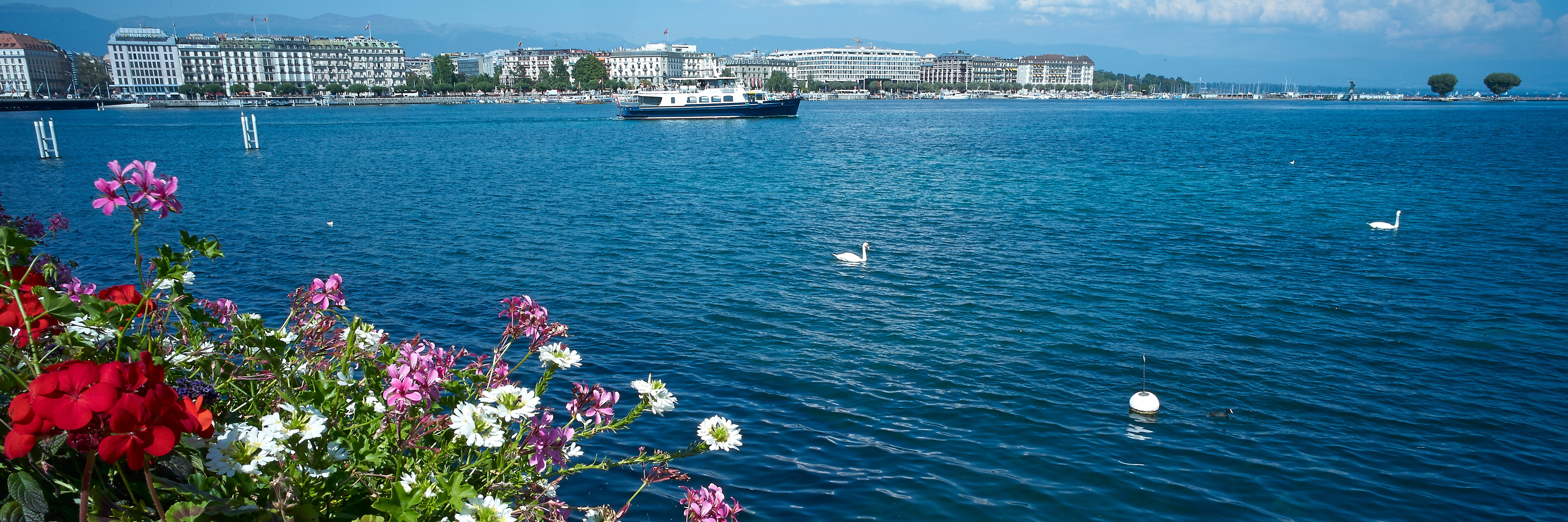 Wycieczka po Jeziorze Genewskim z kolorowymi kwiatami na brzegu