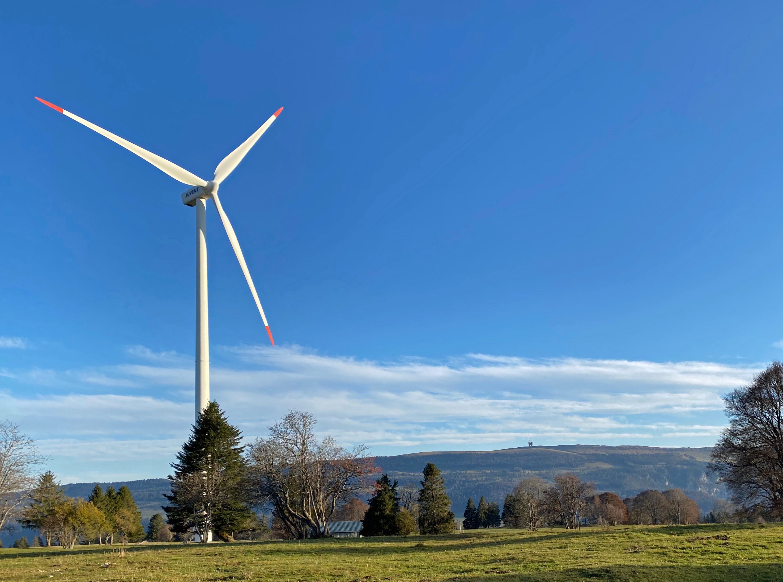 Helikopter Jura Seeland di atas landskap berangin dengan pokok-pokok