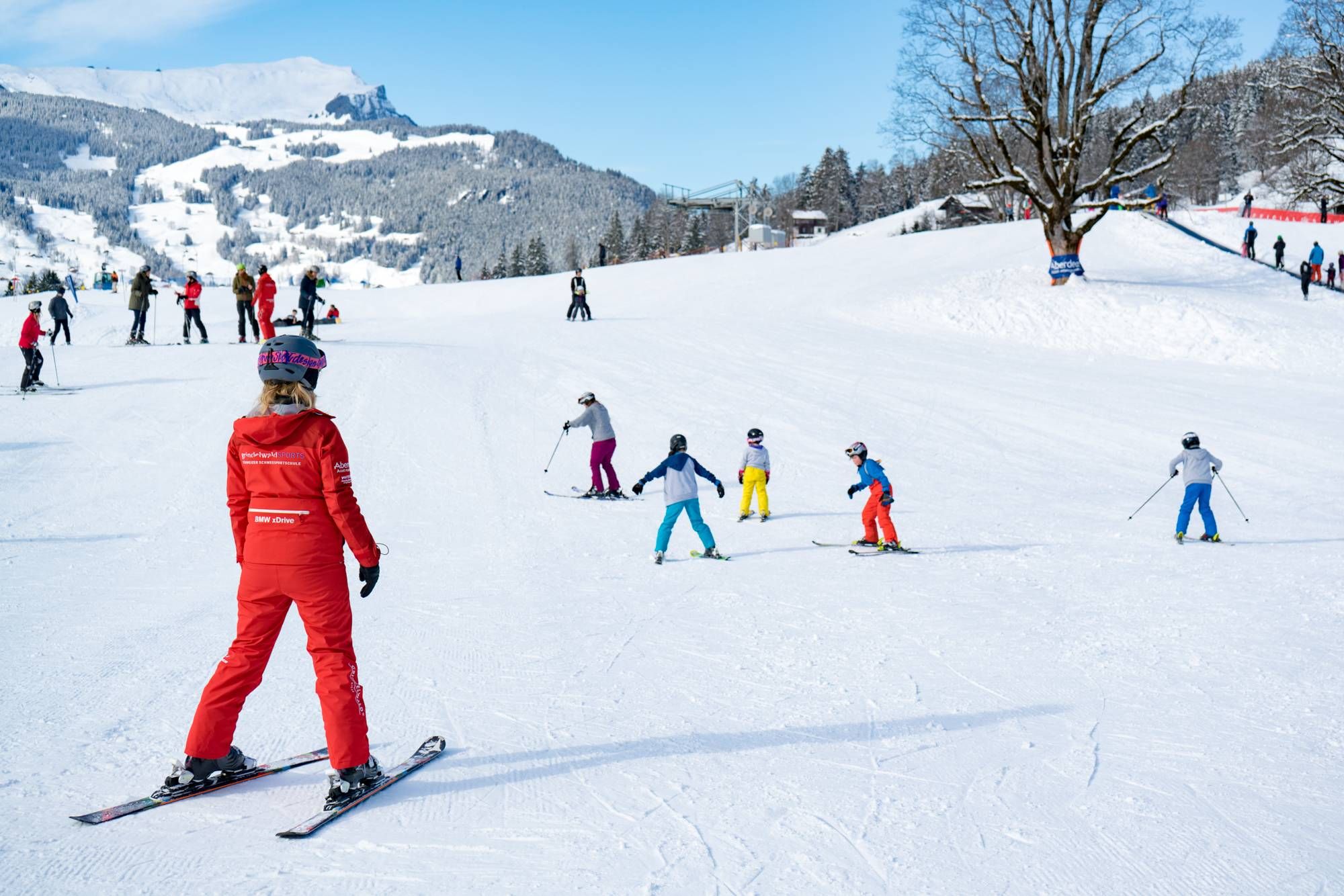 The best Sledding offers in Switzerland