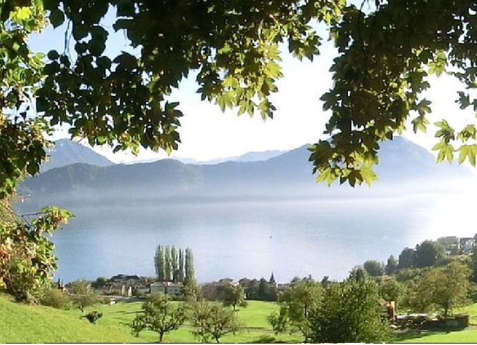 Vista Bürgenstock con vista sul lago e le montagne