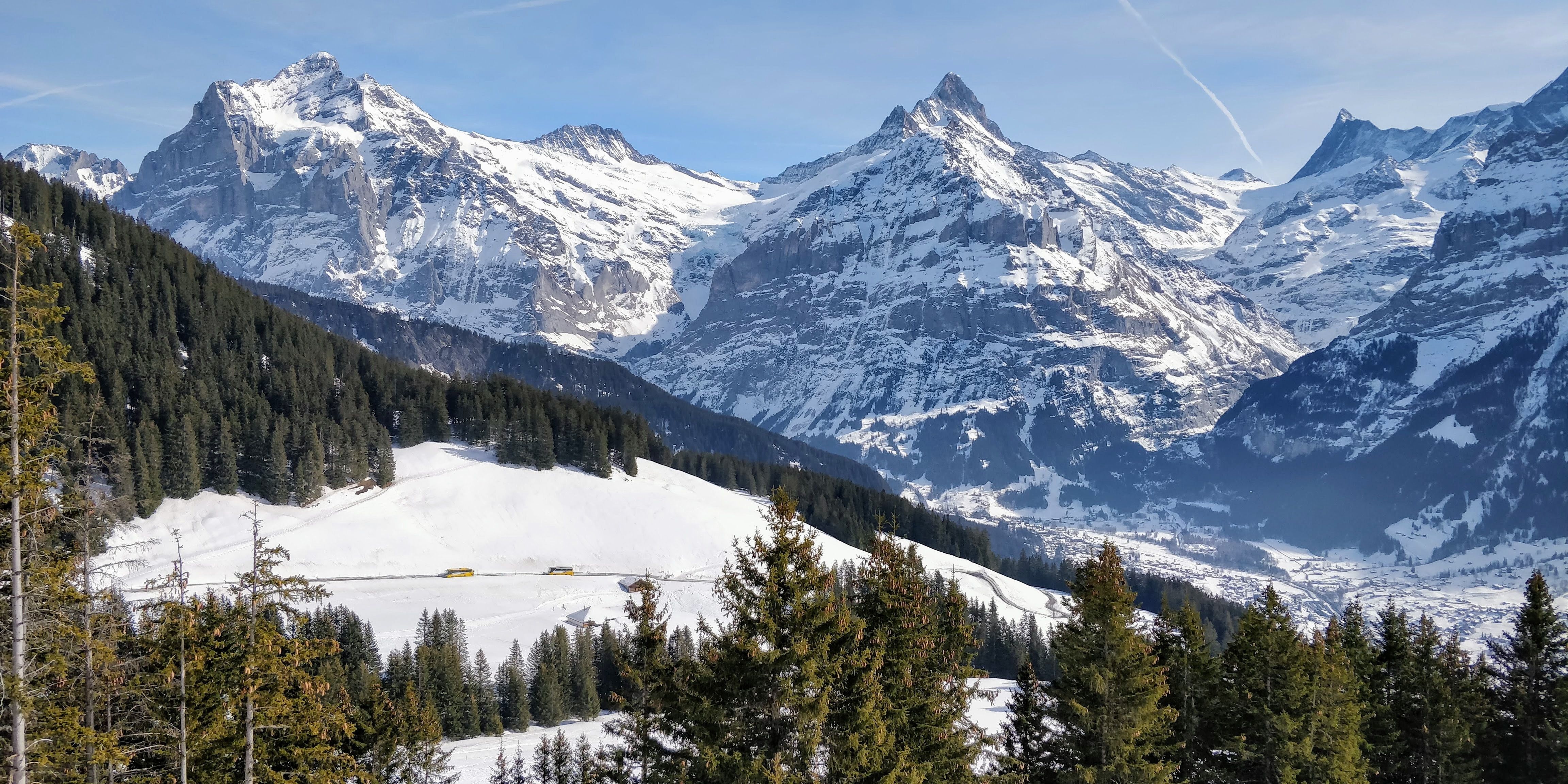 Катание на санках в регионе Юнгфрау, Гриндельвальд, по заснеженным трассам.