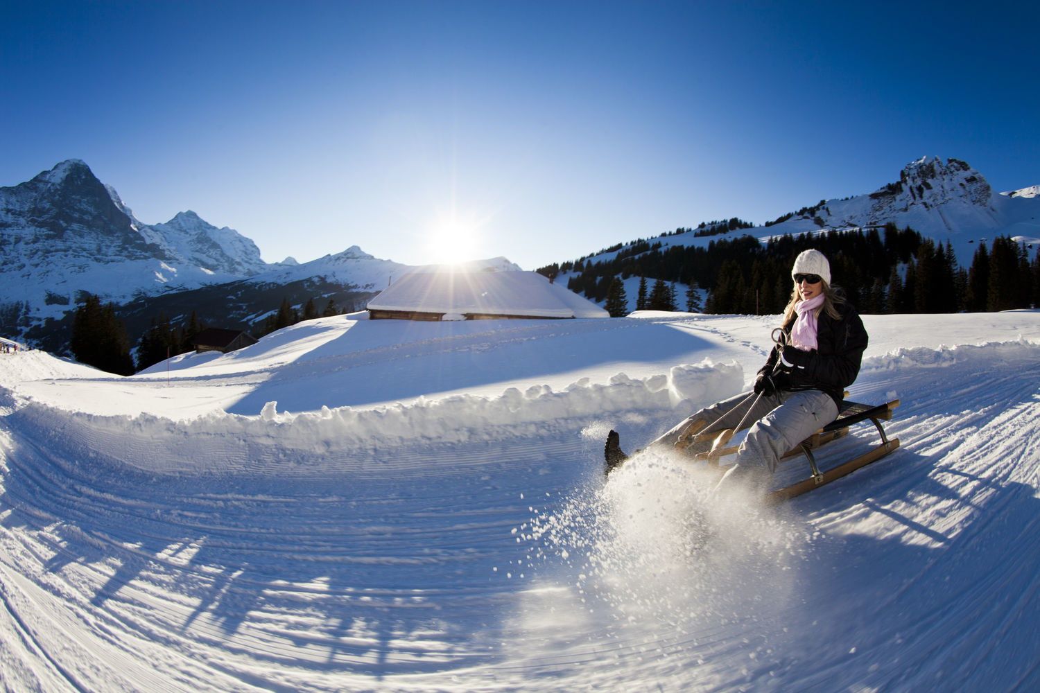 The best Sledding offers in Grindelwald 2021