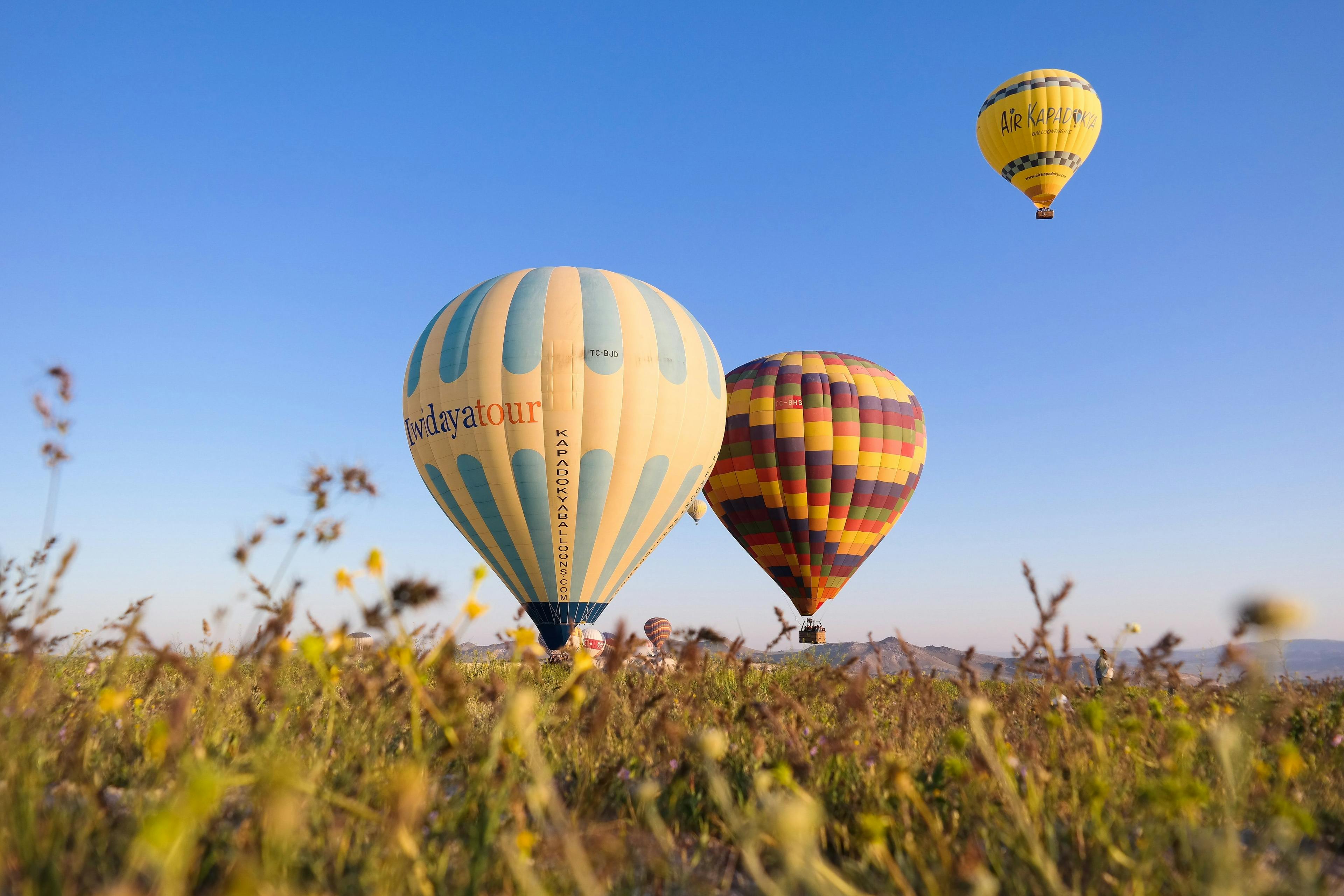 Heissluftballone im Feld fliegen bei klaren Himmel