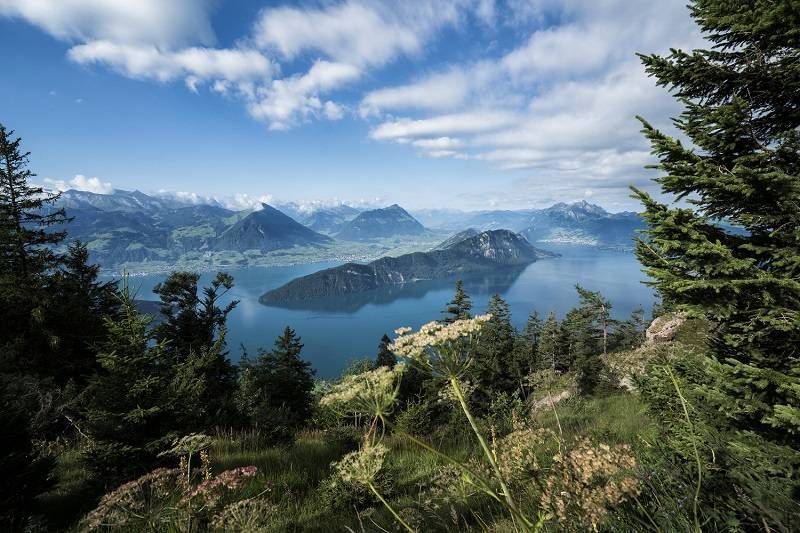 ทริปวันเดียวที่ Rigi พร้อมวิวทะเลสาบสี่ป่าและภูเขารอบๆ