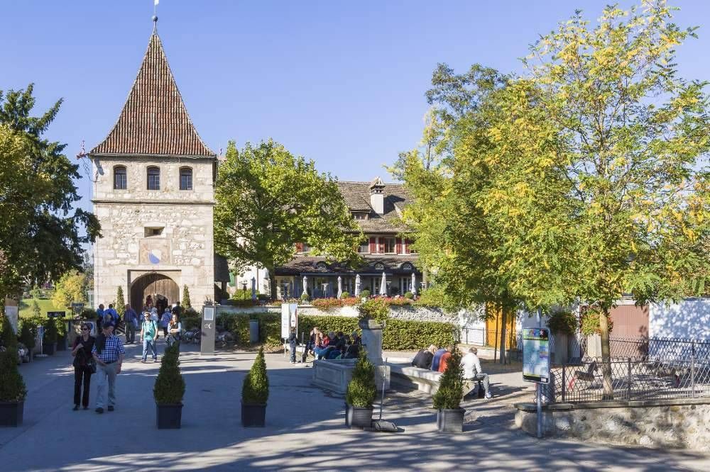 Wycieczka do Rheinfall z wizytą przy wodospadzie i okolicach Zurychu