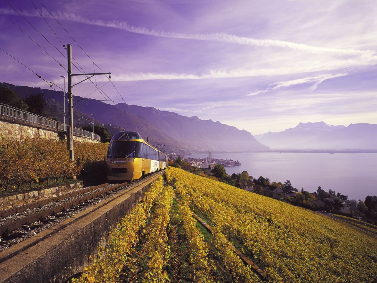 Linia Golden Pass kalon përmes pjesëve të vreshtave pranë Gruyères.