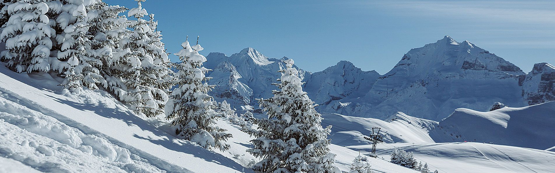 Катание на снегобайке на Эльзигенальпе, видны множество заснеженных деревьев и свежий снег.