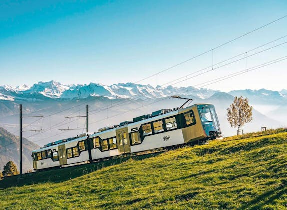 Rigi : Voyage royal à travers des prairies verdoyantes en train et montagnes