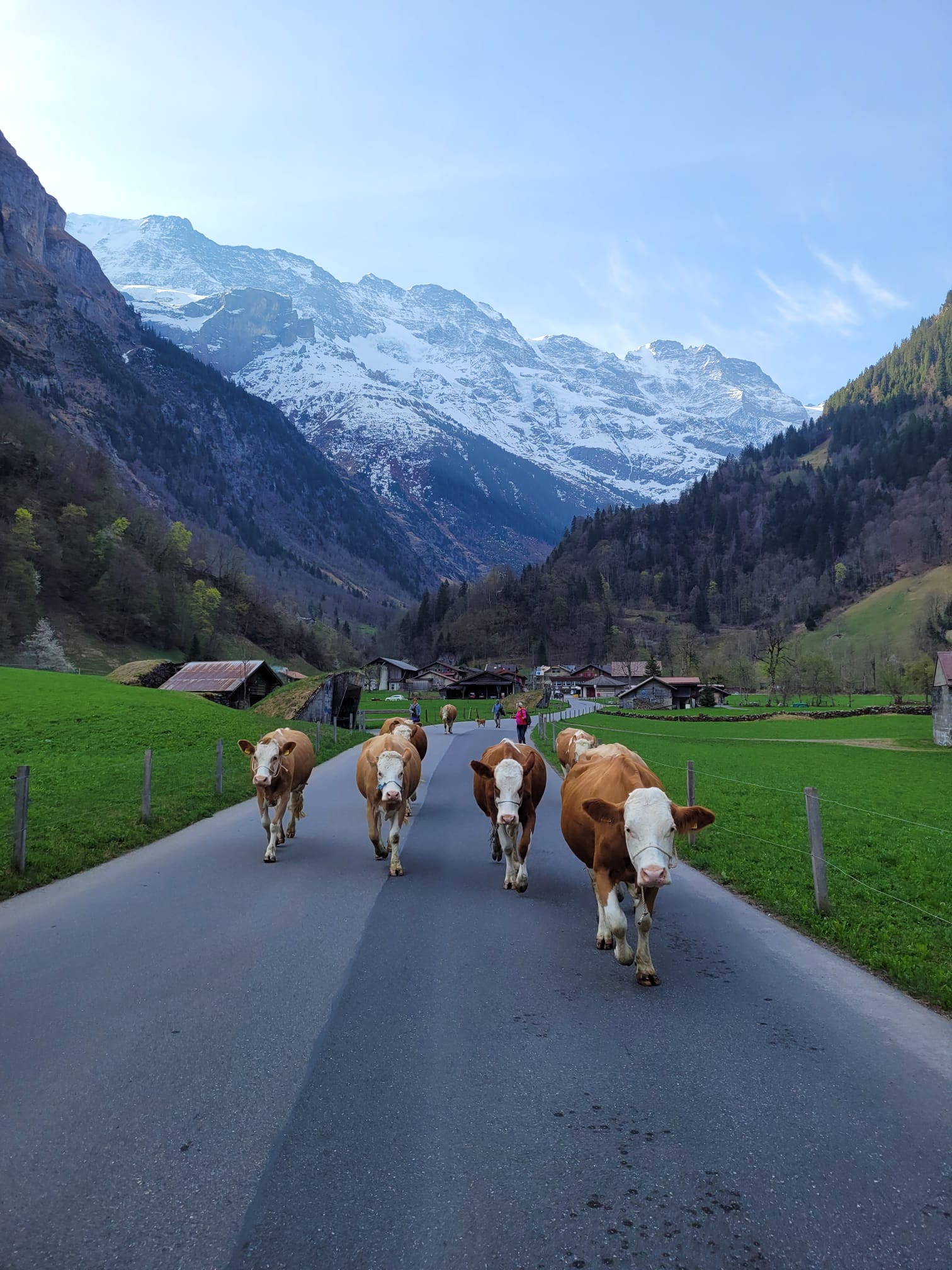 Virtuele reisbegeleiding in Lauterbrunnen toont besneeuwde bergen en groene valleien.