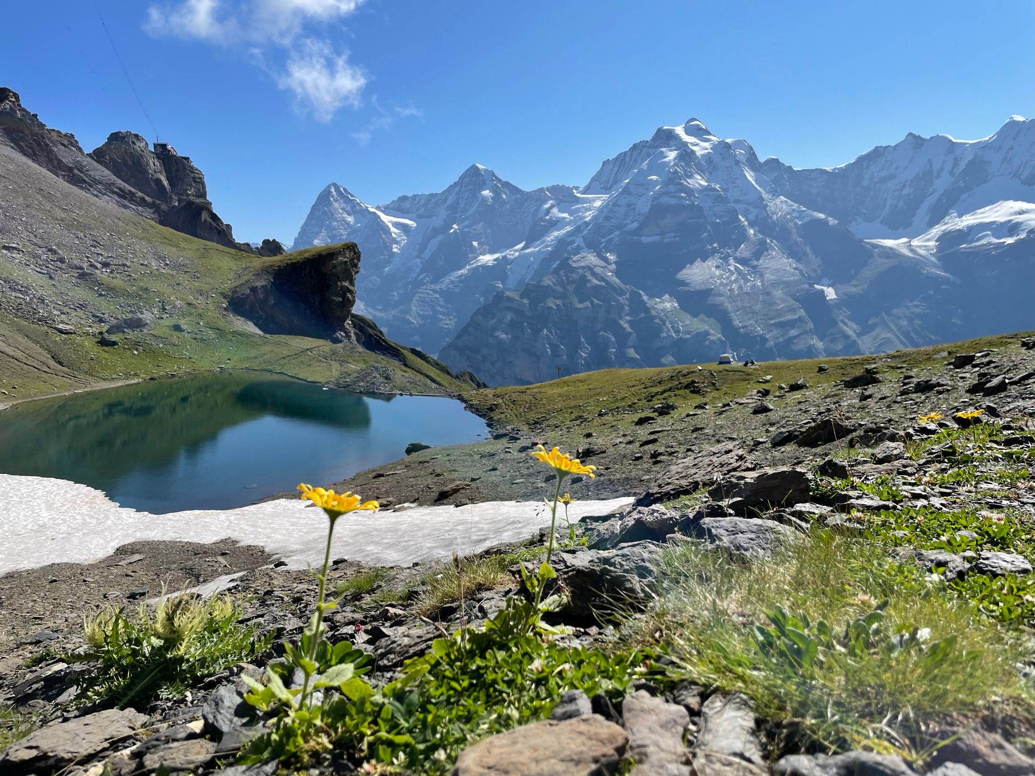 Lauterbrunnen, view of green meadows, flowers and mountains