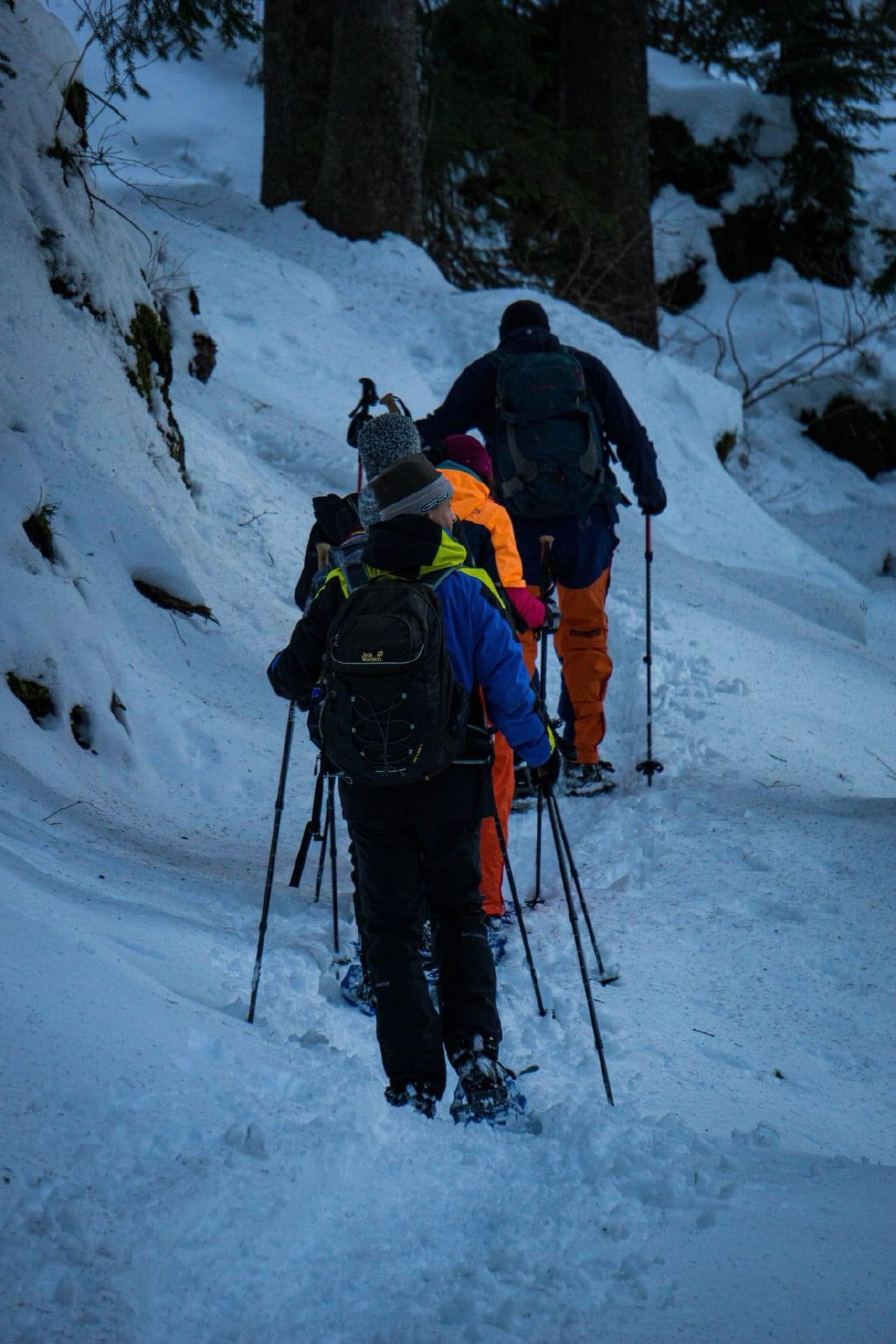 겨울 환경에서 그룹과 함께 Kerenzerberg에서 눈신을 신고 하이킹하기