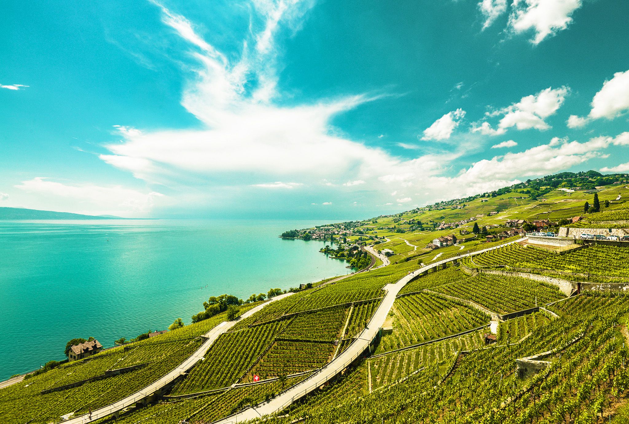Chillon Chaplin Tour am Genfersee, mit Weinbergen und Aussicht.