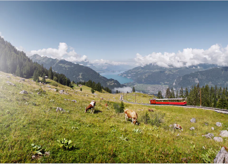 Schynige Platte Wandern