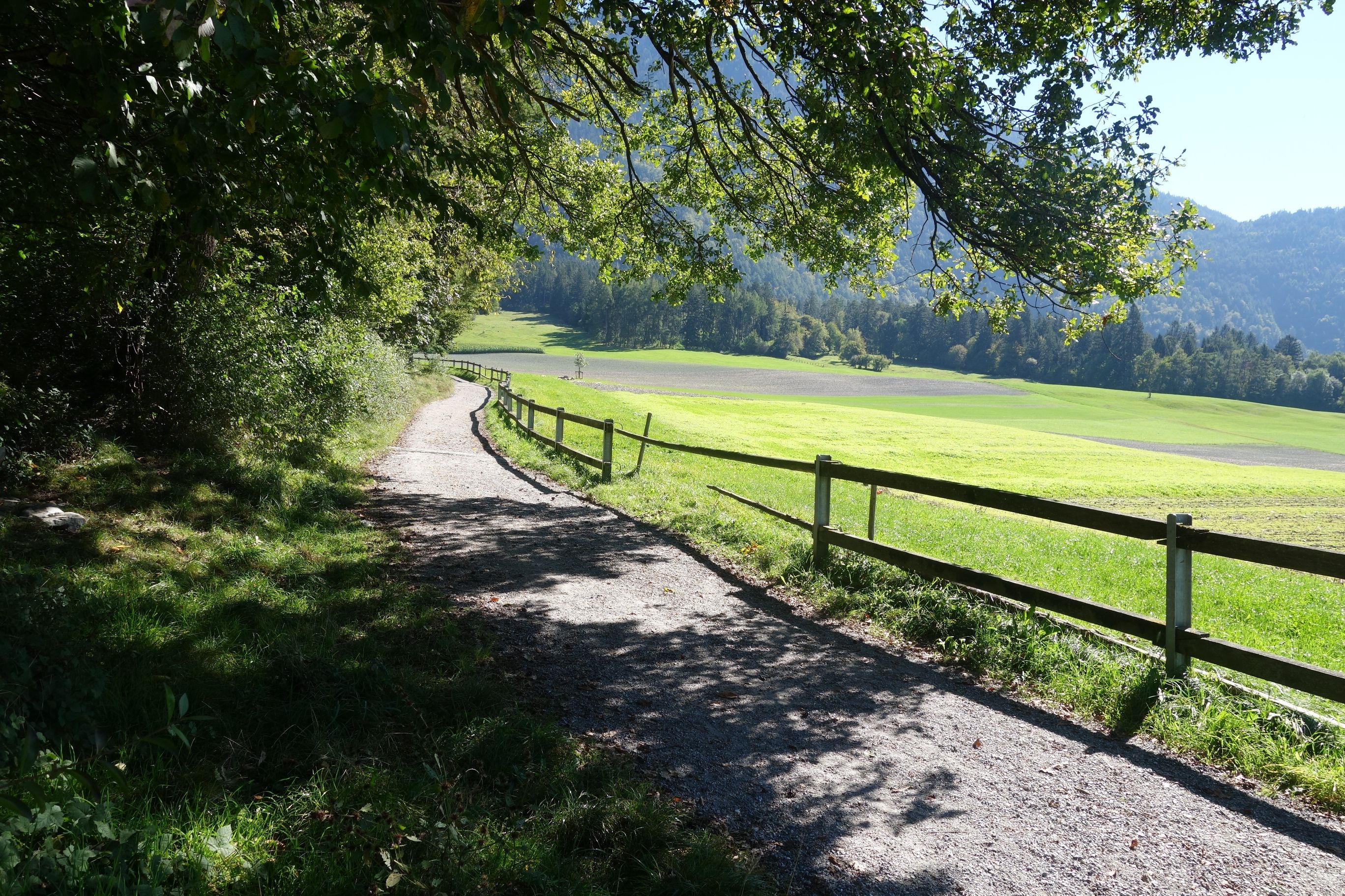 مسار شورة في الطبيعة مع طرق للمشي، مروج، أشجار وسياج.