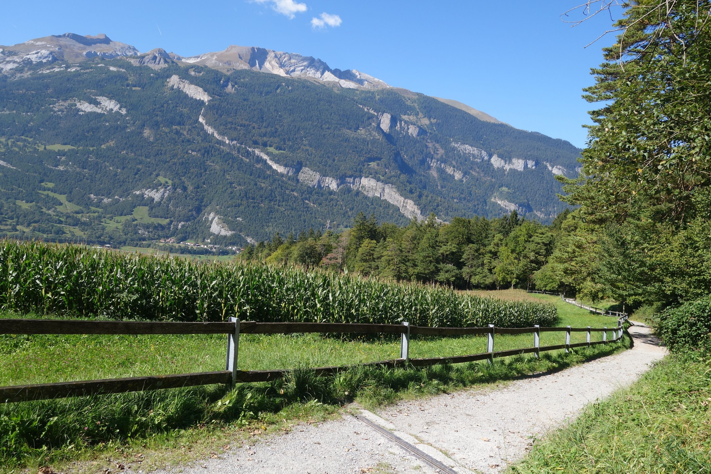 مسار تشور على الارتفاعات مع المسار، والمروج، والجبال