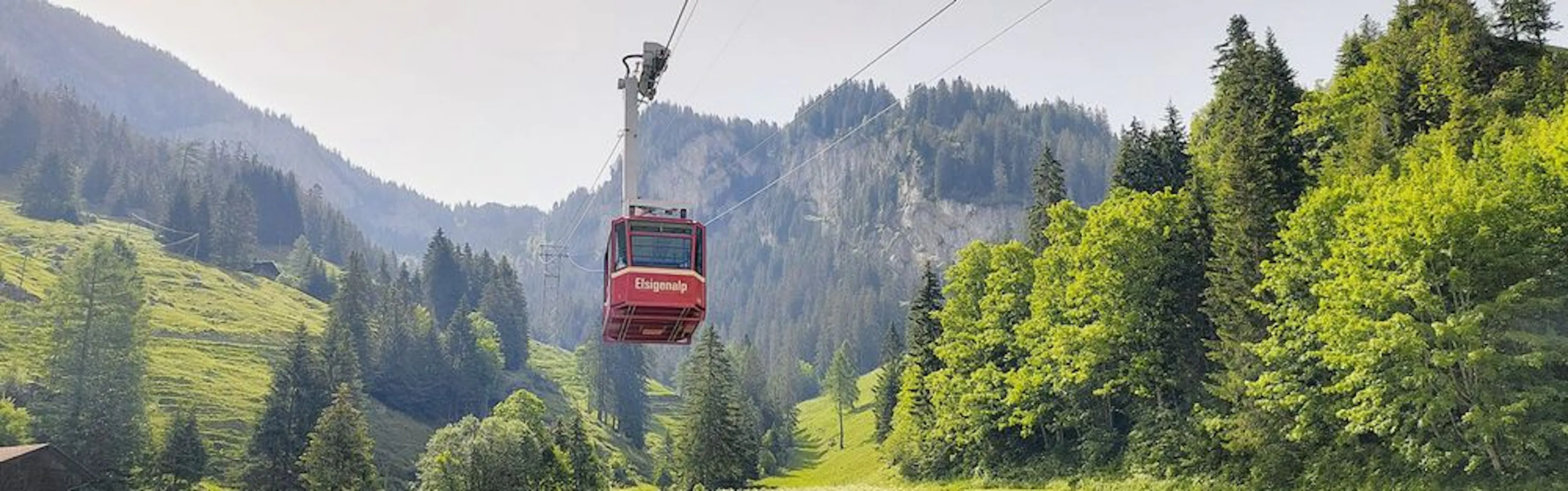 Elsigen-Metsch Schlitteln optionale Schlittenmiete | Swiss Activities