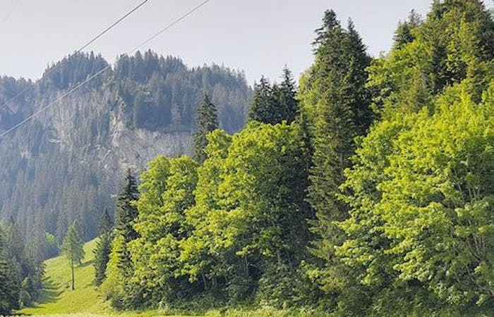 Elsigen-Metsch mountain railroad