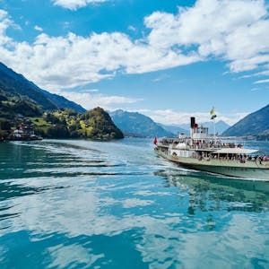 Ticket boat trip on Lake Brienz from Interlaken