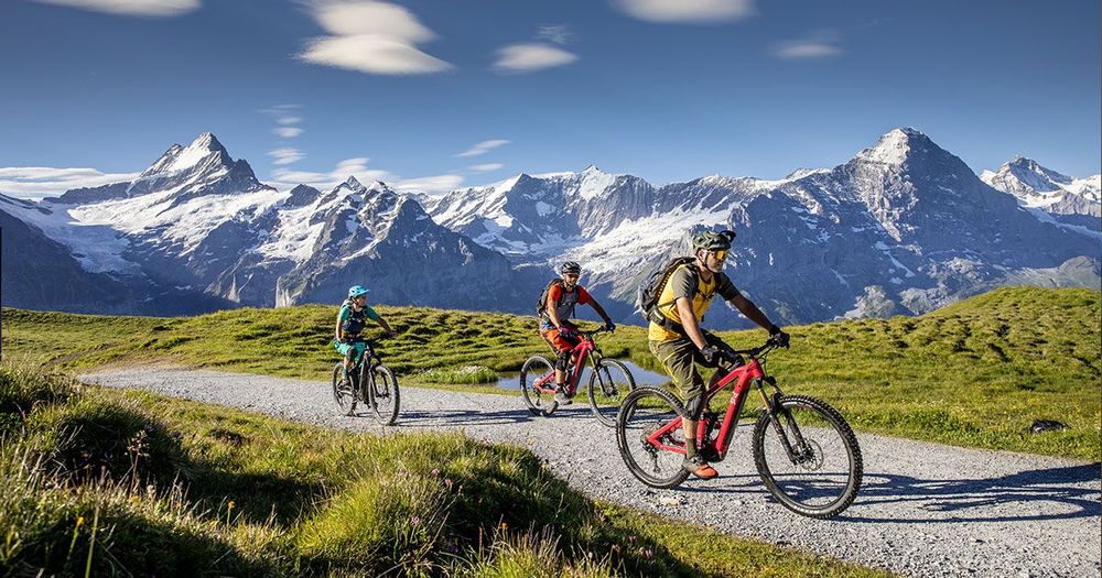 elektro fahrrad 1 privater anteil buchen