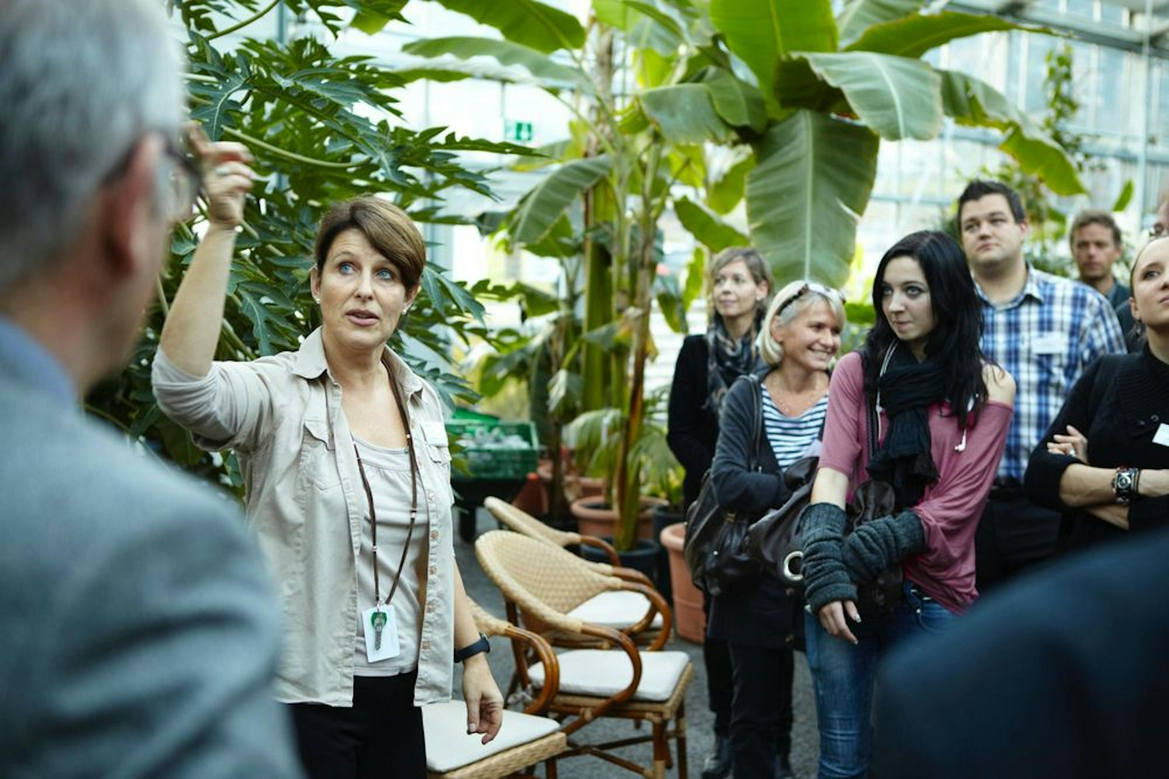 Guided tour of the tropical house
