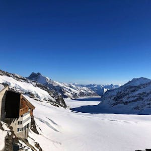 Au départ de Zurich : excursion d'une journée au Jungfraujoch en bus et train à crémaillère