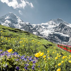 Au départ d'Interlaken: excursion d'une journée au Jungfraujoch en bus et en train à crémaillère