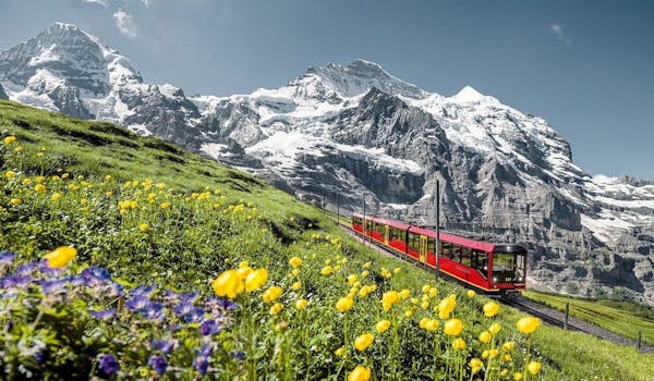 Excursion d'une journée au Jungfraujoch au départ d'Interlaken avec guide