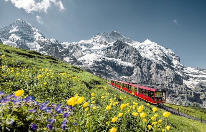 Jungfraujoch day tour from Interlaken guided