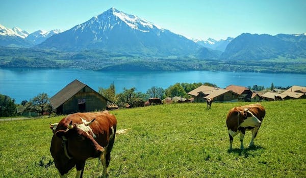 Lake Thun excursion (Photo: Pure Switzerland)