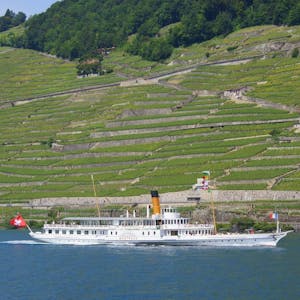 Ticket Lavaux Panorama Schifffahrt zwischen Lausanne und Vevey 