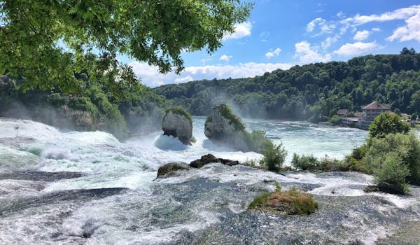 Gita di un giorno alle cascate del Reno a Zurigo
