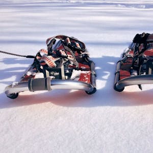 Snowshoes rental Grindelwald