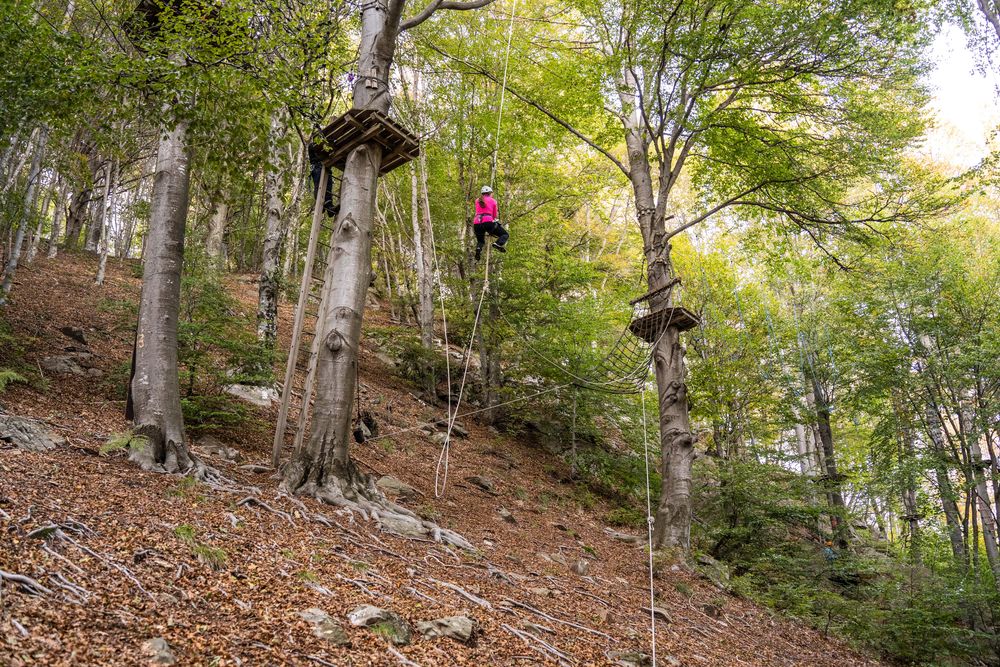 Rope parks in Switzerland - the 20 most popular locations | Swiss ...