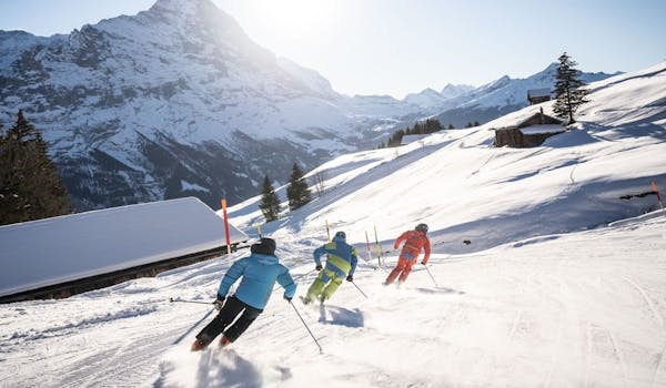 Skiing Grindelwald groups