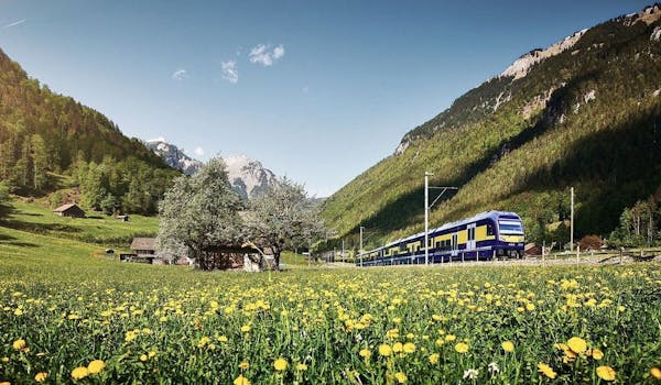Tour guidato di Grindelwald da Zurigo