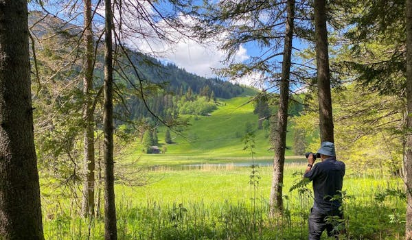 Photo course Toggenburg forest meadow