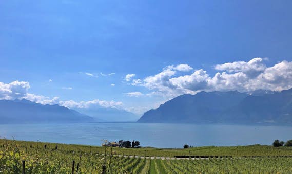 Lake Geneva region