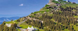 From Lucerne: Rigi round trip incl. boat and train