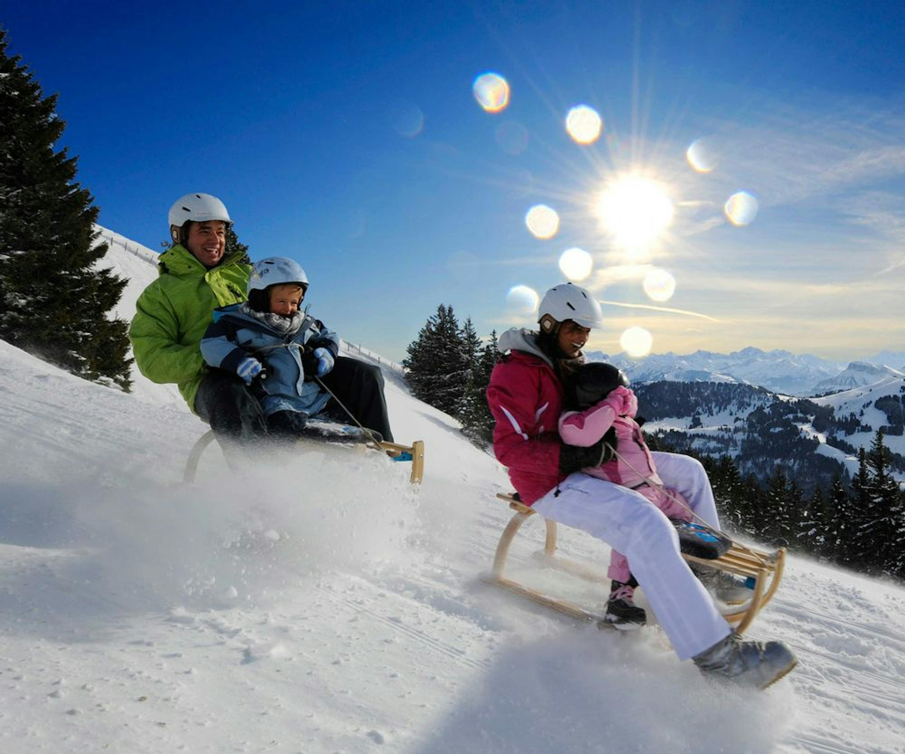 Sledding - the best prices and offers 2024 | Swiss Activities