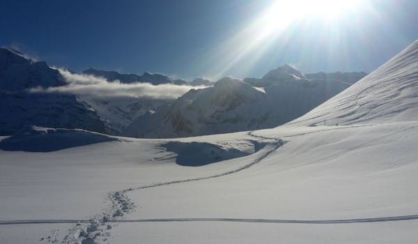 Escursione guidata con le racchette da neve Engstligenalp