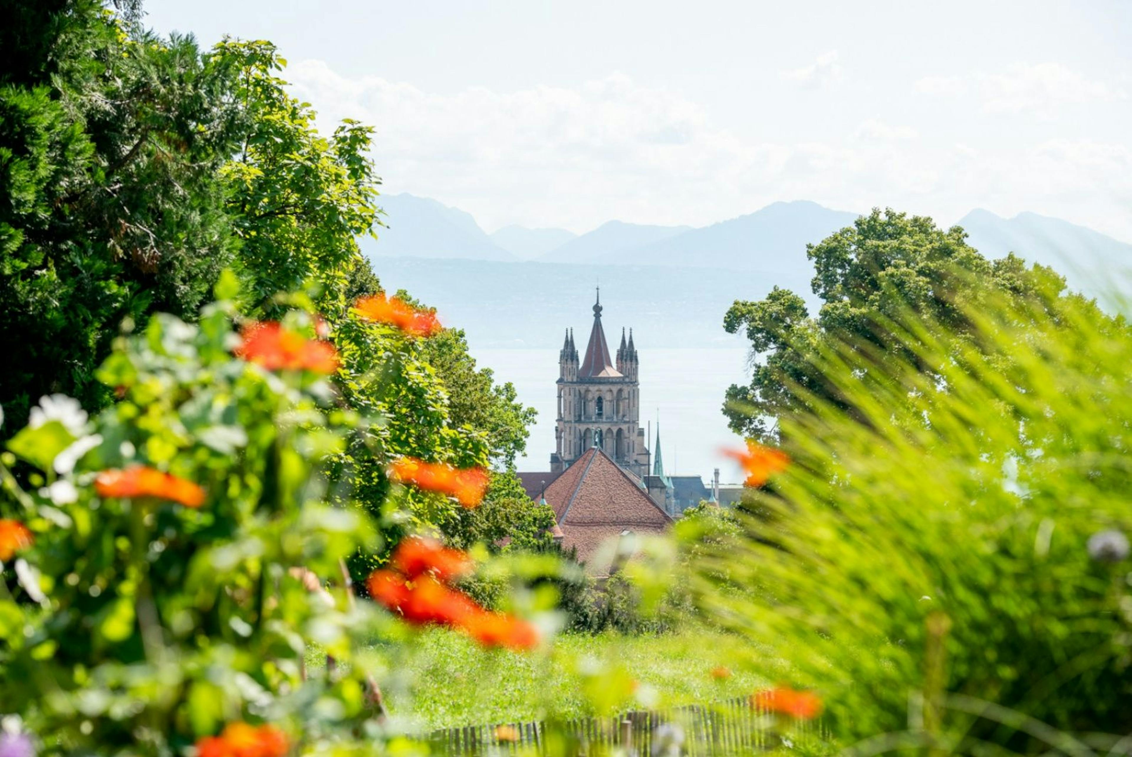 Lausanne byvandring med udsigt over katedralen og naturen