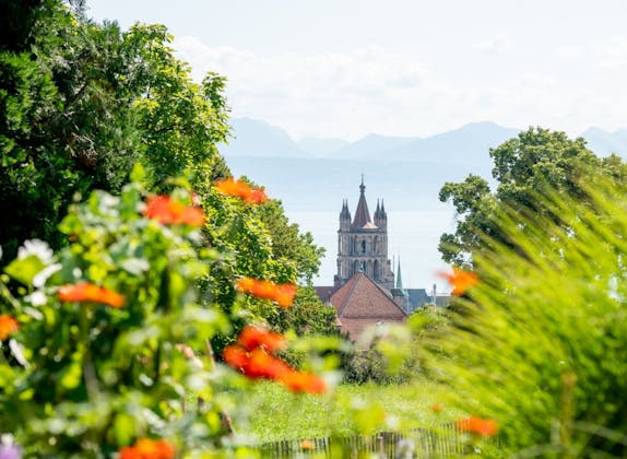 Tur ghidat în Lausanne cu vedere spre Catedrala și natură
