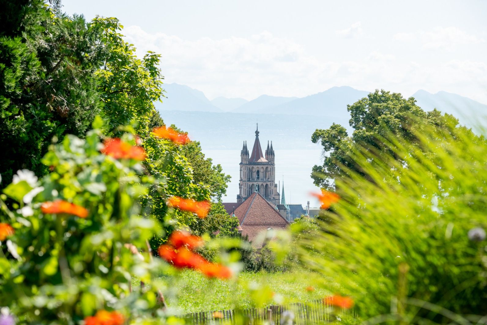 로잔 시내 투어, 구시가지와 꽃을 배경으로