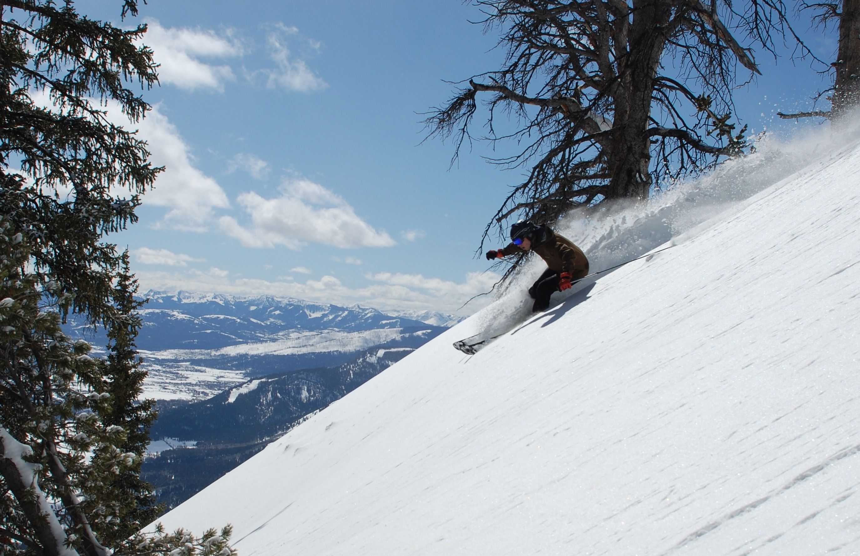 Skiër op een besneeuwd pad in de bergen met uitzicht op de natuur